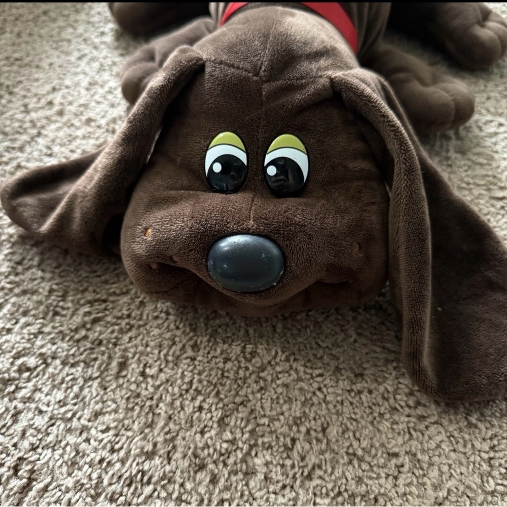 2019 Pound Puppies Dark Brown